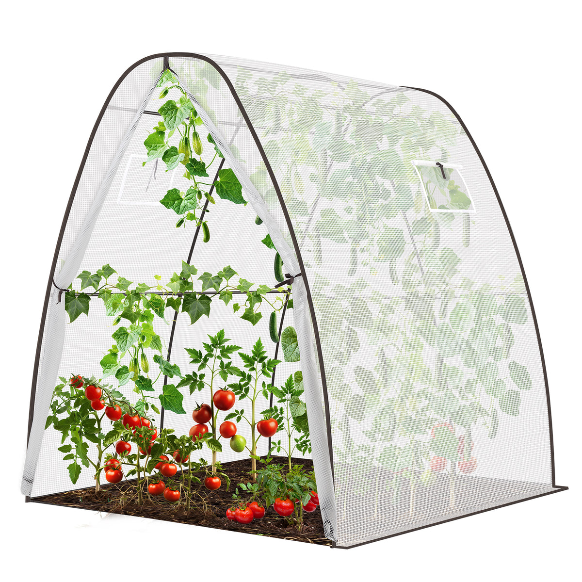 Sekey Sechseckiges Gewächshaus 160x160x180 cm – Tomatengewächshaus aus PE-Folie 135 g/m², stabil & winterfest, mit Reißverschlusstür & Belüftungsfenster für Garten, Balkon & Indoor
