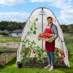 Sekey Sechseckiges Gewächshaus 160x160x180 cm – Tomatengewächshaus aus PE-Folie 135 g/m², stabil & winterfest, mit Reißverschlusstür & Belüftungsfenster für Garten, Balkon & Indoor