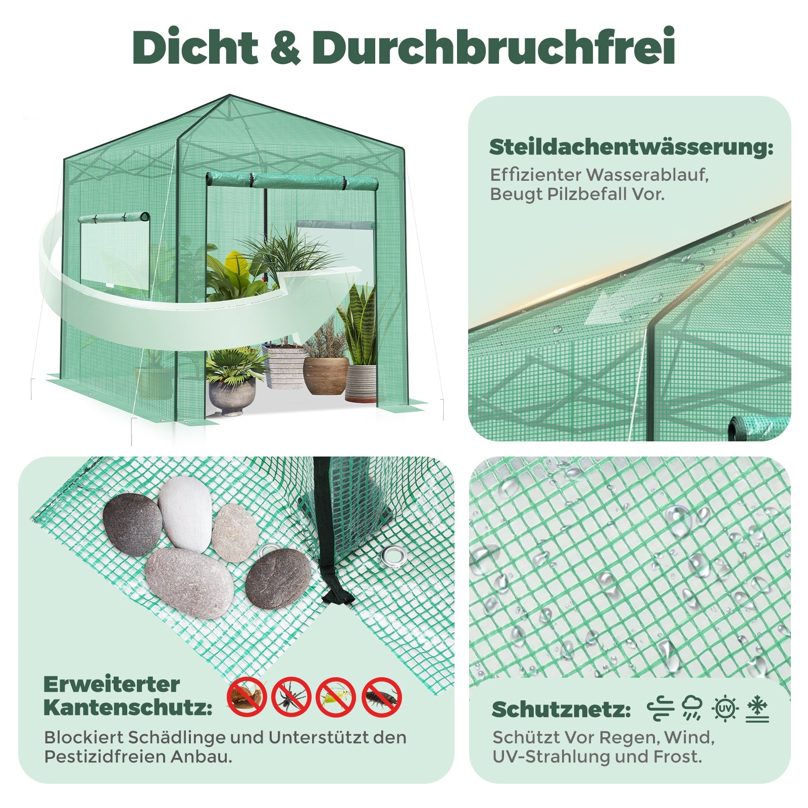 Sekey Pop-Up Foliengewächshaus 240×240×180 cm Großes Gewächshaus mit One-Touch-System für schnellen Aufbau im Garten Sekey