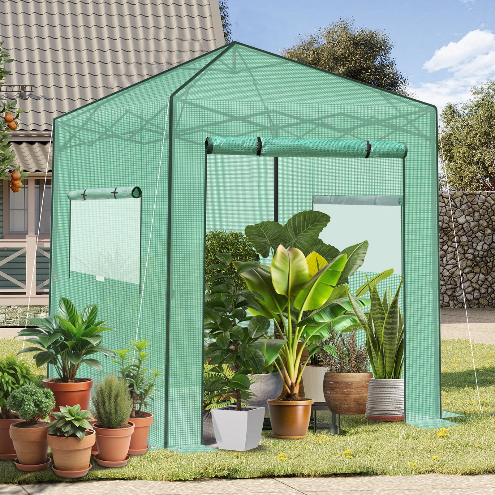 Sekey Pop-Up Foliengewächshaus 240×240×180 cm Großes Gewächshaus mit One-Touch-System für schnellen Aufbau im Garten Sekey