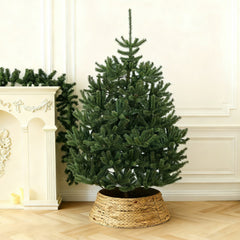 Salcar Künstlicher Weihnachtsbaum Nordmanntanne – Ultra-realistisch, 180 cm / 210 cm mit 1118 / 1512 Spitzen, Dicht & Robus, Für Innen- & Außenbereich