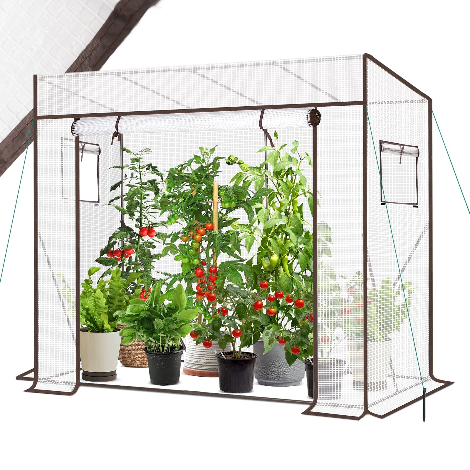 Sekey Tomatengewächshaus Tamara XL Folien-Gewächszelt mit aufrollbarer Tür, stabiler Rahmen 200 x 77 x 146/170 cm Sekey