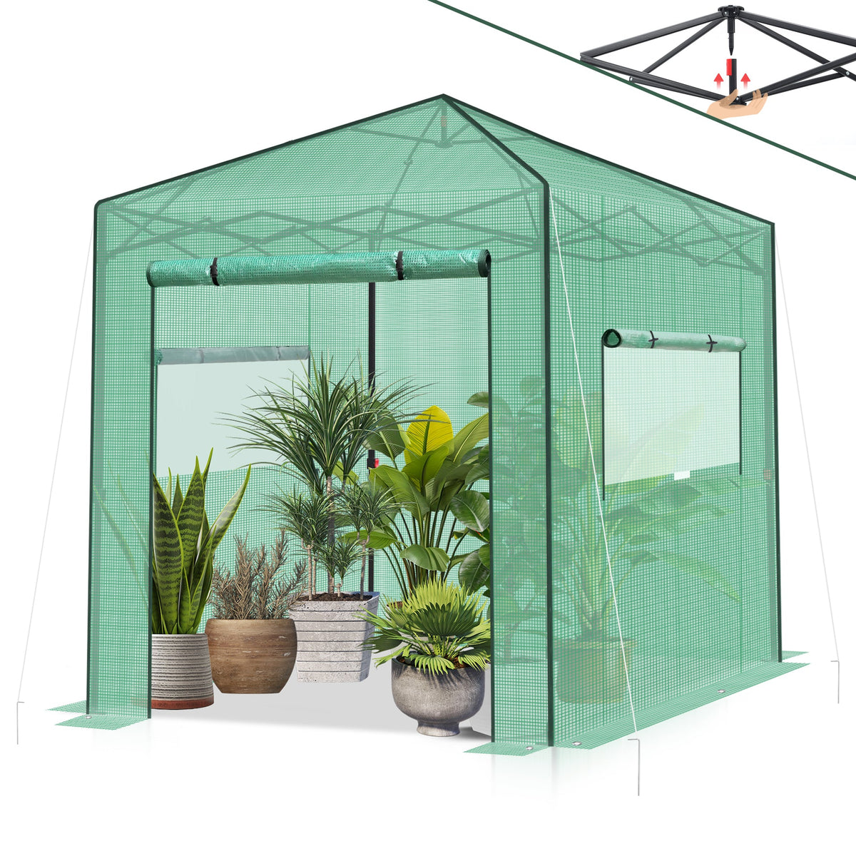 Sekey Pop-Up Foliengewächshaus 240×240×180 cm Großes Gewächshaus mit One-Touch-System für schnellen Aufbau im Garten Sekey