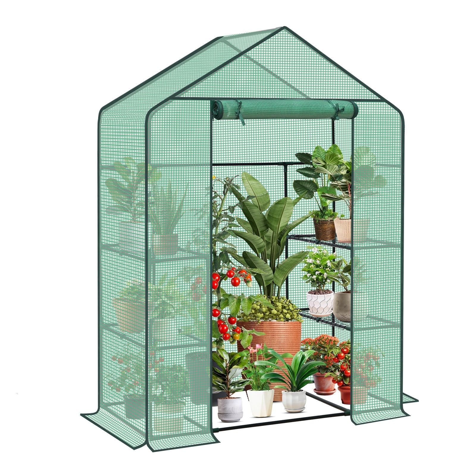 Sekey XL Foliengewächshaus 200×145×75 cm Stabiles Balkon-Gewächshaus mit 4 Regalböden für gesundes Pflanzenwachstum Sekey