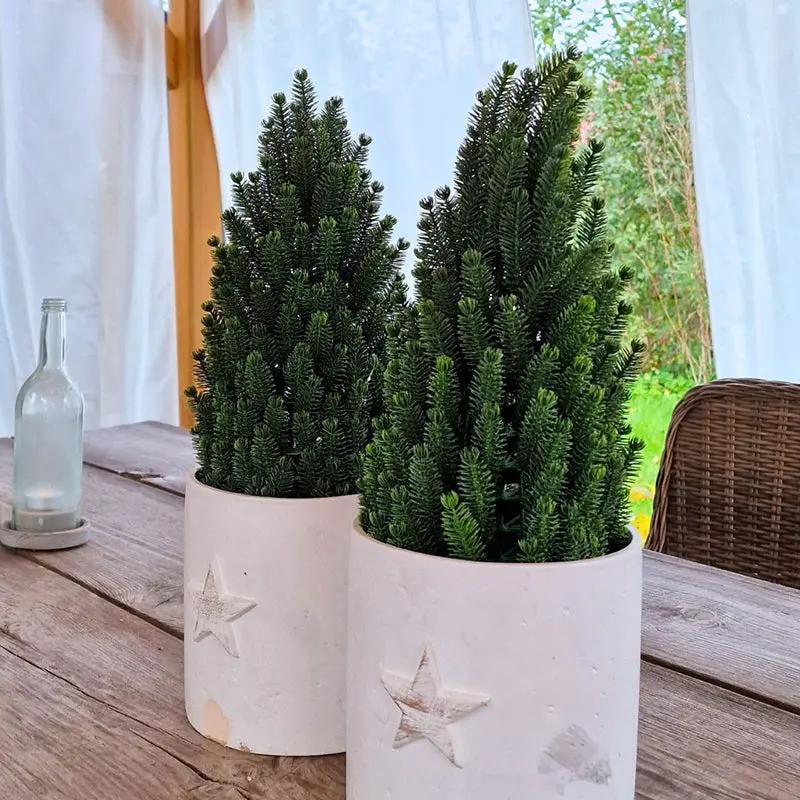 Salcar 50cm Künstlicher Weihnachtsbaum Kleinmit Basistopf, Nordmanntanne, aus 100% PE Spritzguss Salcar