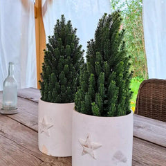 Salcar 50cm Künstlicher Weihnachtsbaum Kleinmit Basistopf, Nordmanntanne, aus 100% PE Spritzguss Salcar