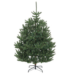 Salcar Künstlicher Weihnachtsbaum Nordmanntanne – Ultra-realistisch, 180 cm / 210 cm mit 1118 / 1512 Spitzen, Dicht & Robus, Für Innen- & Außenbereich