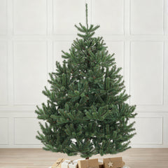 Salcar Künstlicher Weihnachtsbaum Nordmanntanne – Ultra-realistisch, 180 cm / 210 cm mit 1118 / 1512 Spitzen, Dicht & Robus, Für Innen- & Außenbereich