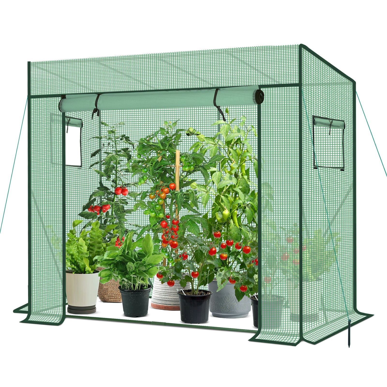 Sekey Tomatengewächshaus 200 x 170 x 77 cm Begehbares Folien-Gewächshaus für Balkon & Garten, stabil, winterfest & UV-beständig, Grün Sekey