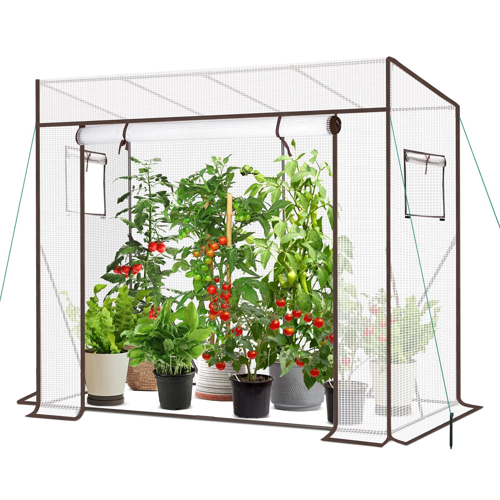 Sekey Tomatengewächshaus Tamara XL Folien-Gewächszelt mit aufrollbarer Tür, stabiler Rahmen 200 x 77 x 146/170 cm Sekey