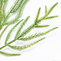 Salcar Künstliche Weihnachtsgirlande aus 100 % PE – Realistische Tannengirlande für Wand, Tür & Kamin – Langlebig & wiederverwendbar