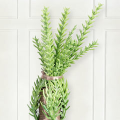 Salcar Künstlicher Weihnachtsbaum mit echtem Holzstamm – 100 % PE, zartgrün – 90 cm / 120 cm, naturgetreu & pflegeleicht