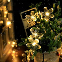 Salcar 5 m LED Solar Blüten Lichterkette, 20 LEDs Salcar