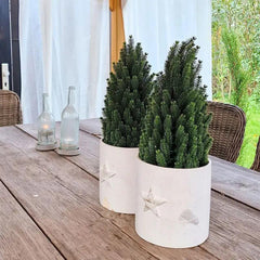 Salcar 50cm Künstlicher Weihnachtsbaum Kleinmit Basistopf, Nordmanntanne, aus 100% PE Spritzguss Salcar