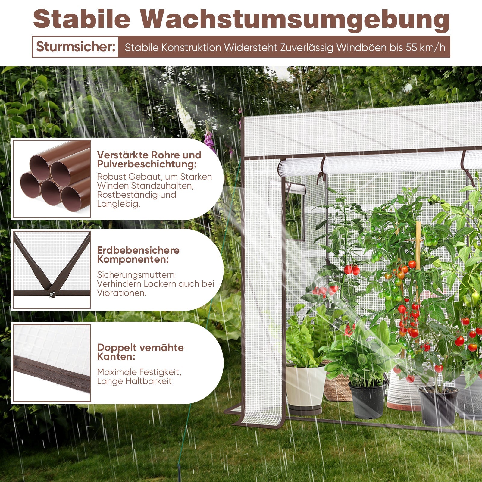 Sekey Tomatengewächshaus Tamara XL Folien-Gewächszelt mit aufrollbarer Tür, stabiler Rahmen 200 x 77 x 146/170 cm Sekey