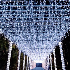 Salcar 2m/ 5m / 10m LED Eisregen Lichterkette, 80/ 200 / 400 LEDs, 31V GS-zertifizierte Stromversorgung Salcar