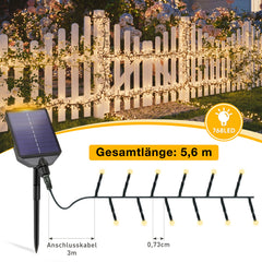 ultradichter Beleuchtung
Detailaufnahme der Solar Cluster Lichterkette mit 768 LEDs und nur 0,73 cm LED-Abstand für besonders dichtes Licht