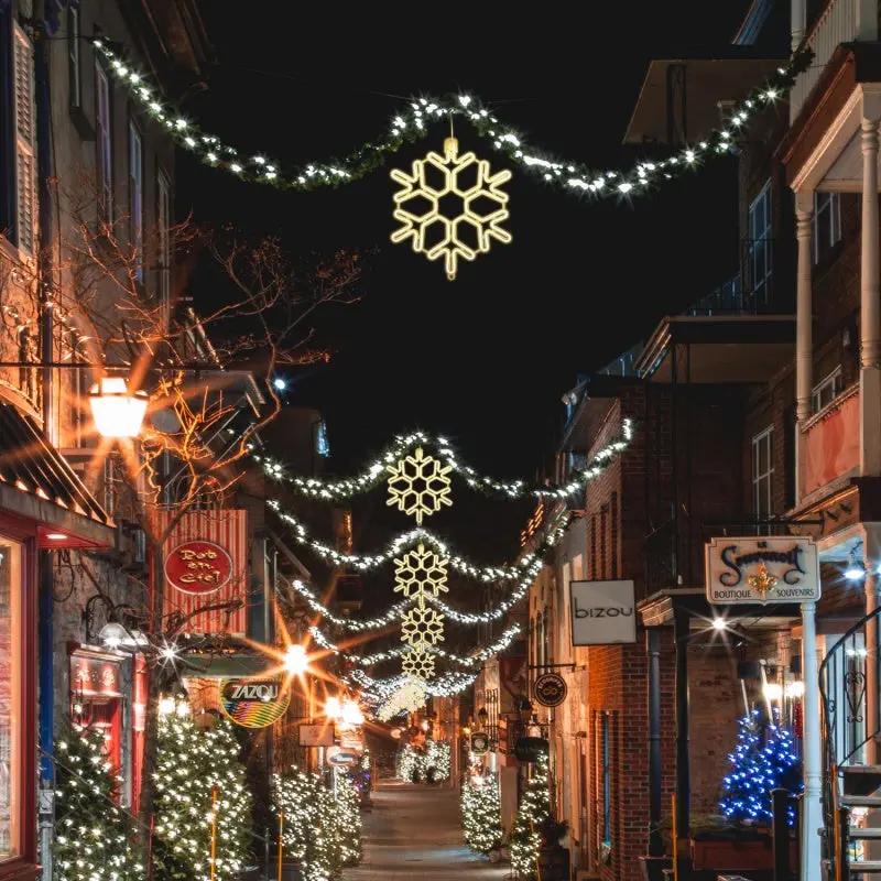 Salcar 40 cm LED Schneeflocke Neonlicht Salcar