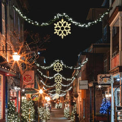 Salcar 40 cm LED Schneeflocke Neonlicht Salcar