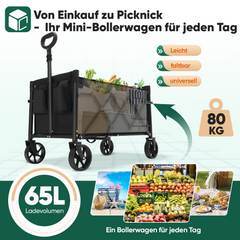 Sekey 4029 Klappbarer Bollerwagen mit Bremse – Platzsparender Handwagen für Ausflüge & Einkäufe Sekey