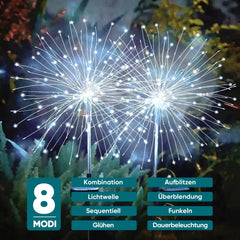 Salcar 2er Set LED Solar Gartenleuchte mit Feuerwerk-Effekt Salcar