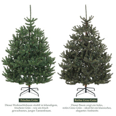 Salcar Artificial Nordmann Fir Christmas Tree – Ultra-realistic, 180 cm / 210 cm, 1118 / 1512 tips, Dense &amp; Durable for Indoor and Outdoor Use