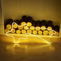 Salcar 70 cm LED Sternschnuppe Neonlicht Salcar