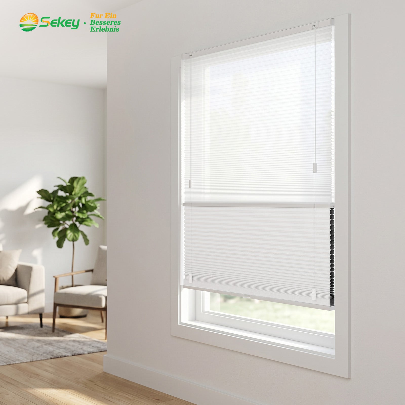 Minimalistisches weißes Sekey Wabenplissee im Wohnzimmer, stufenlose Lichtregulierung und effektiver Blendschutz für ein gemütliches Wohnklima.