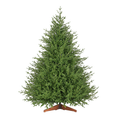 Salcar Künstlicher Weihnachtsbaum Fichte – Extra dicht & naturgetreu, bis zu 99 % PE, 90–210 cm
